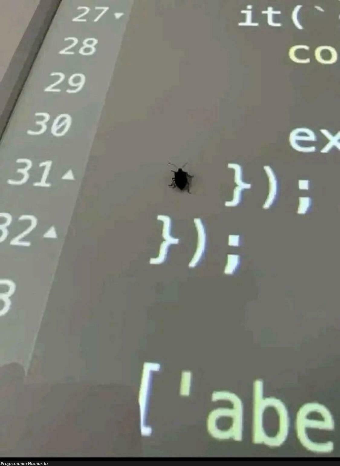 Guys look I found a bug in line 31 | bug-memes | ProgrammerHumor.io