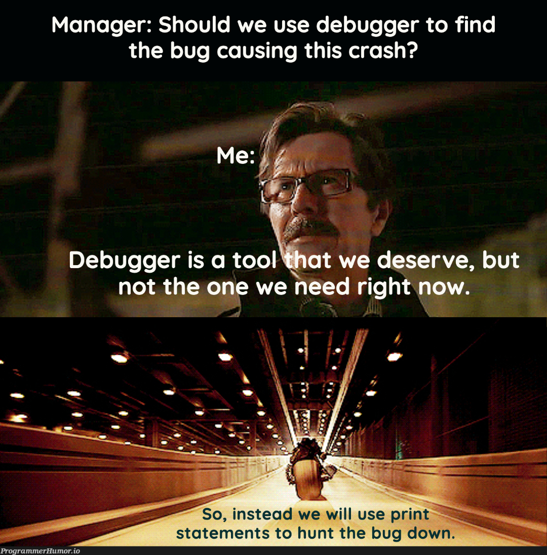 The Tool That We All Deserve | bug-memes, debug-memes, debugger-memes, crash-memes, manager-memes | ProgrammerHumor.io