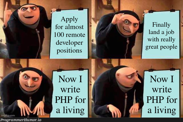 wellBoysIGuessItsByeByeGoAndRustHelloPersonalHomePage | developer-memes, php-memes | ProgrammerHumor.io