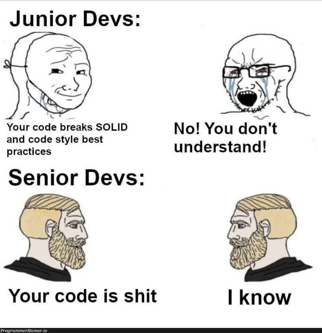 juniorDevsVsSeniorDevs | code-memes, devs-memes | ProgrammerHumor.io