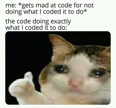 You stupid donkey! | code-memes, IT-memes | ProgrammerHumor.io