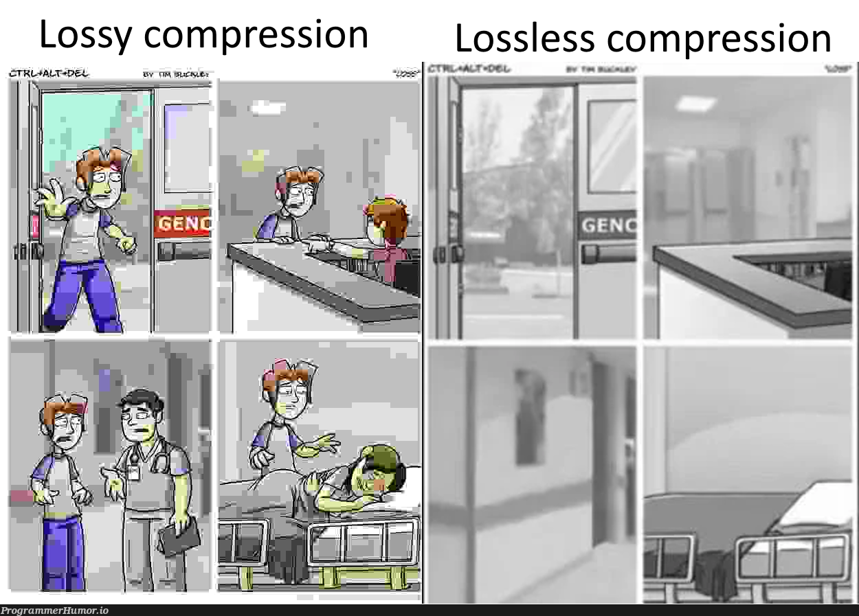 lossless and lossy compression, know the difference | ssl-memes | ProgrammerHumor.io