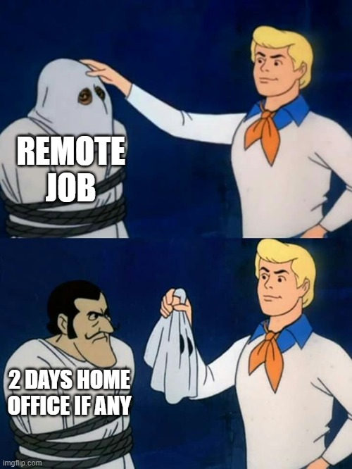 Full remote right? | ProgrammerHumor.io