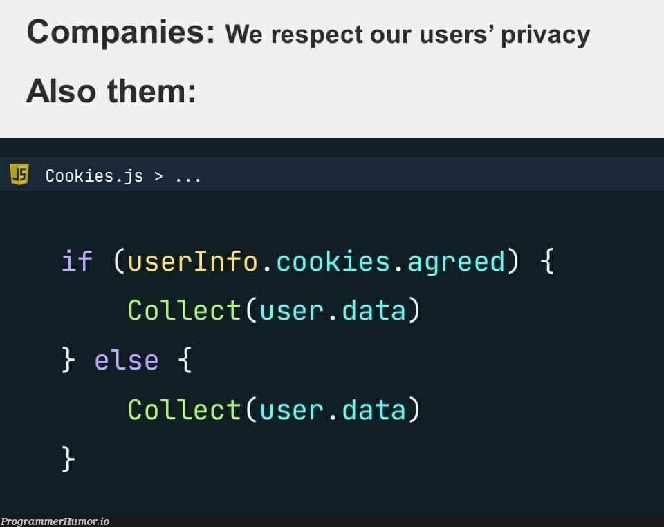 Your privacy is my privacy | data-memes, cookie-memes | ProgrammerHumor.io