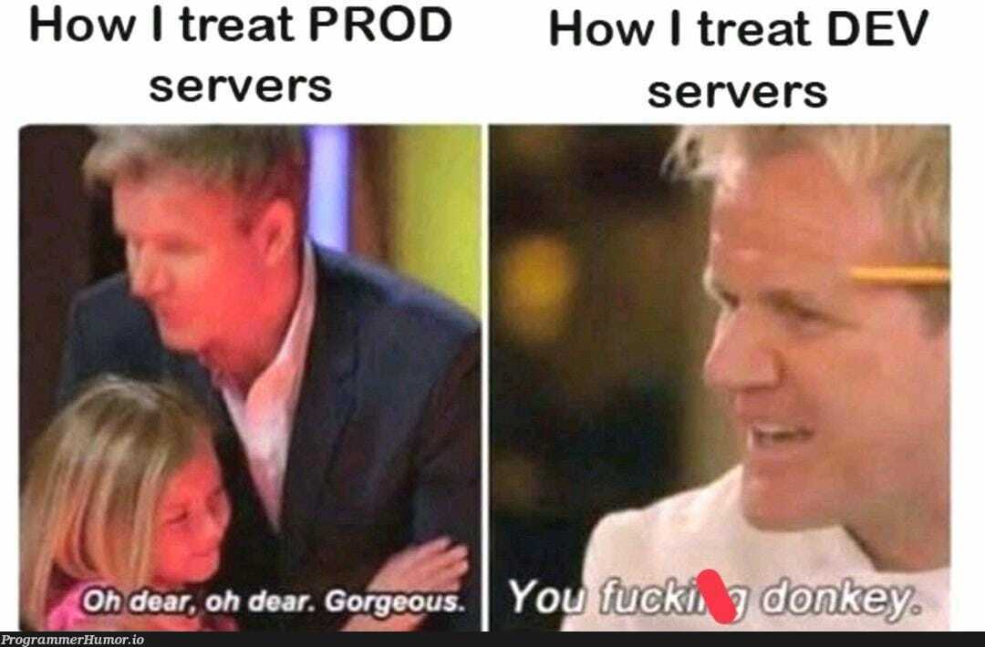 #Respect for Dev Server | server-memes, servers-memes | ProgrammerHumor.io