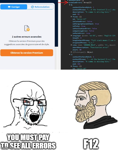 pReMiUmCoNtEnT | ProgrammerHumor.io