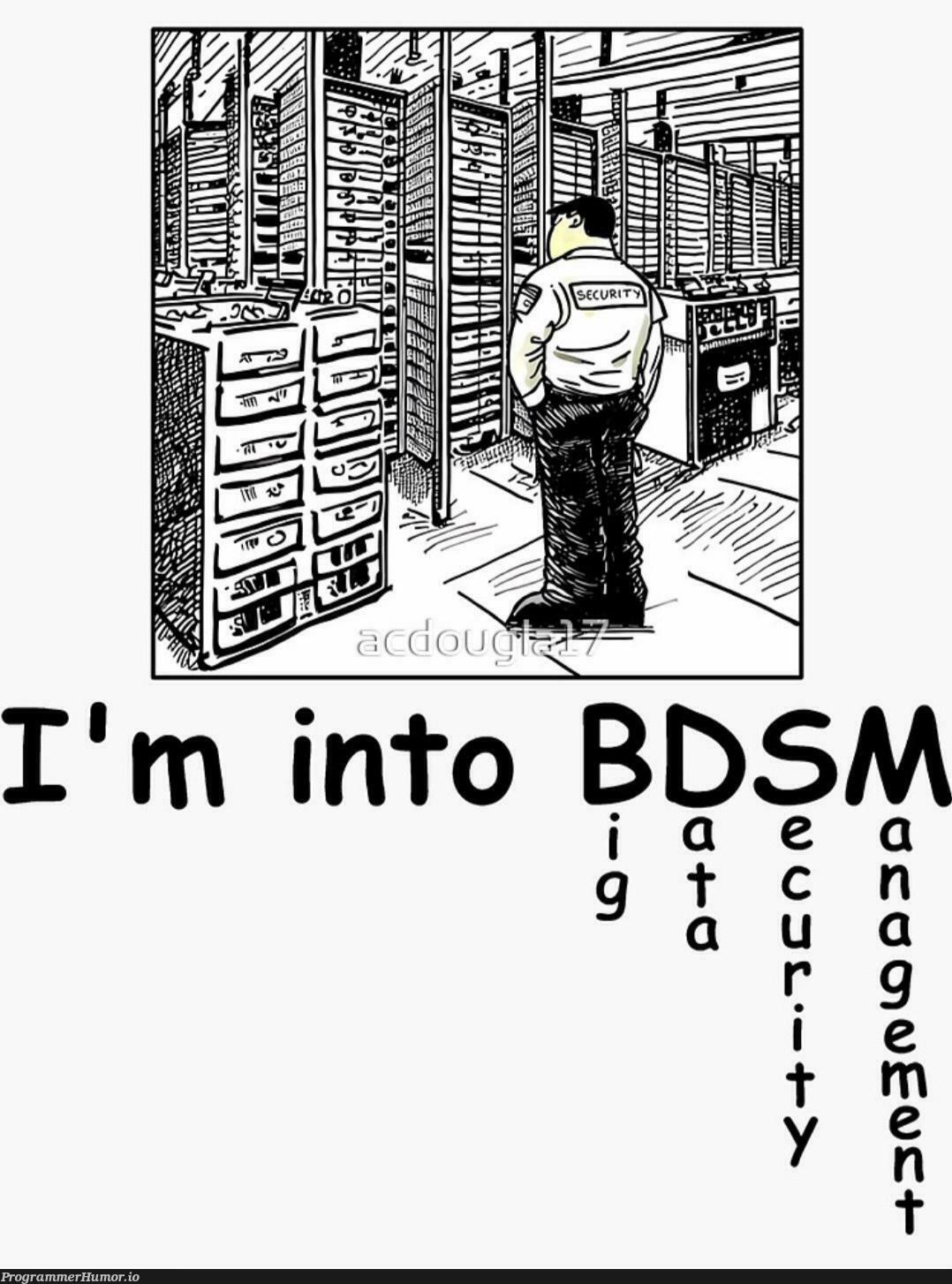 whatDoesBDSMStandForAgain | ProgrammerHumor.io