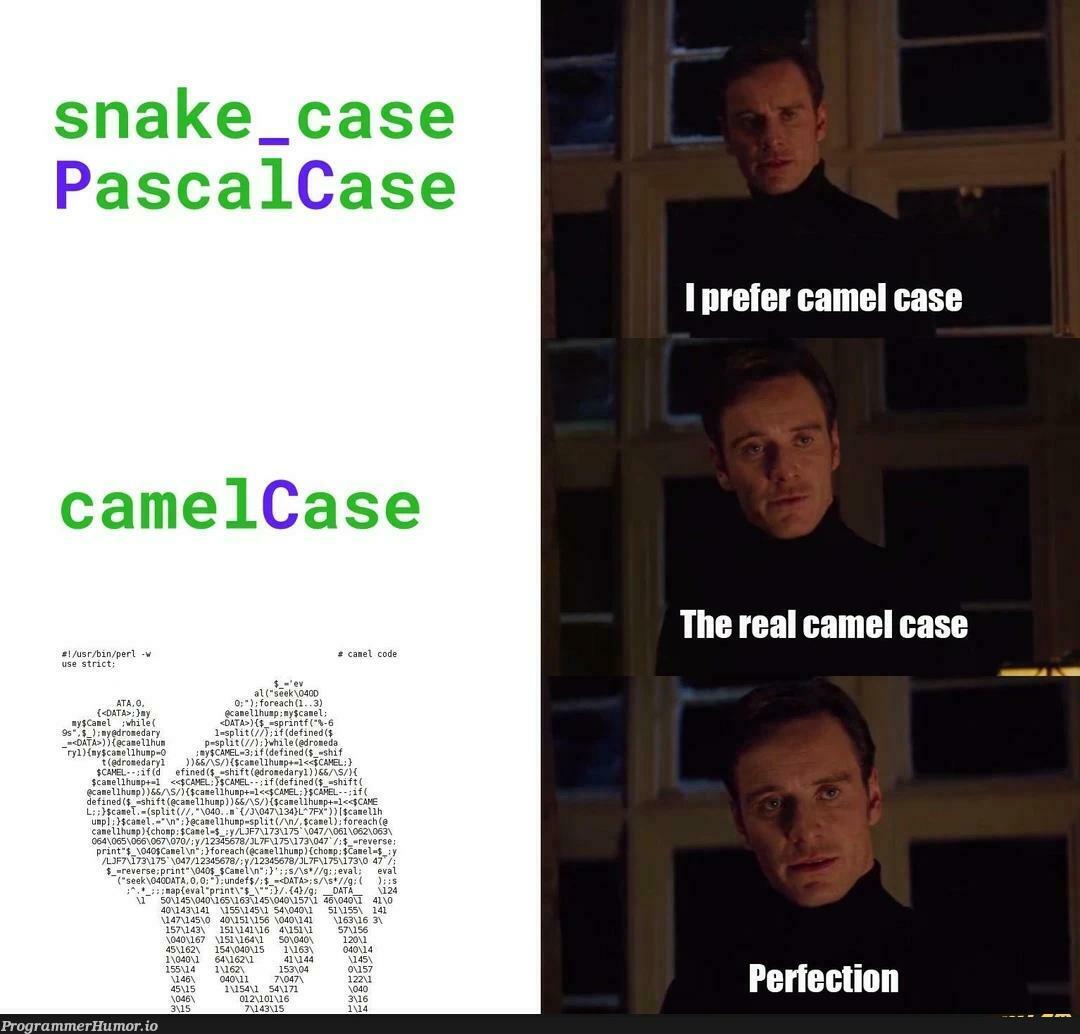 canWeMakeAllCommentsSnakeCase | ios-memes, cs-memes, comment-memes | ProgrammerHumor.io