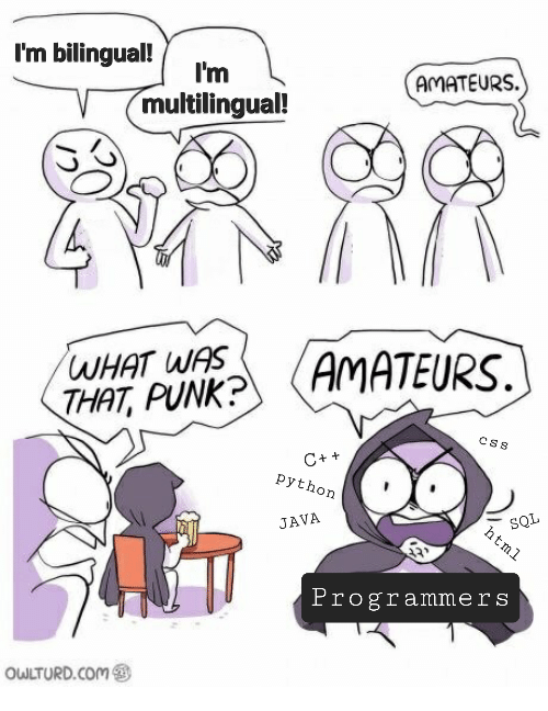 weAreTheRealMultilinguals | programmer-memes, program-memes | ProgrammerHumor.io