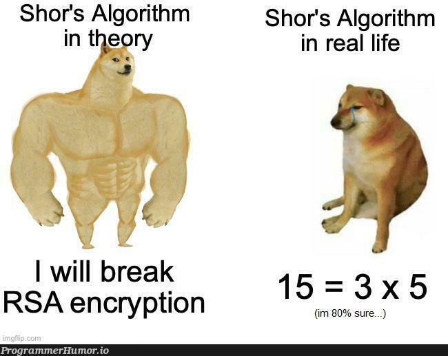 Quantum computers in a nutshell: | computer-memes, algorithm-memes, shell-memes, encryption-memes | ProgrammerHumor.io