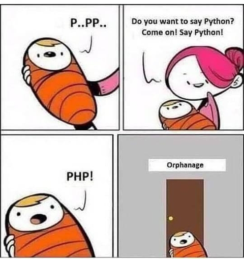 Soooo....it is really that bad? | python-memes | ProgrammerHumor.io