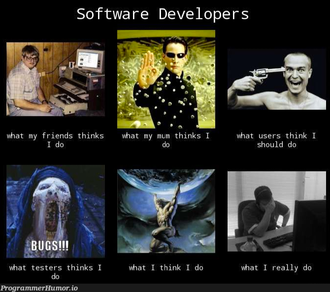 The original 'what I think I do' was a nsfw | developer-memes, software-memes, software developer-memes, test-memes | ProgrammerHumor.io
