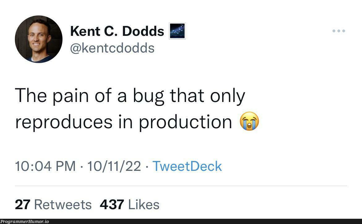 Should I just quit this job, so that I don’t have to find why? | bug-memes, production-memes, retweet-memes, product-memes | ProgrammerHumor.io