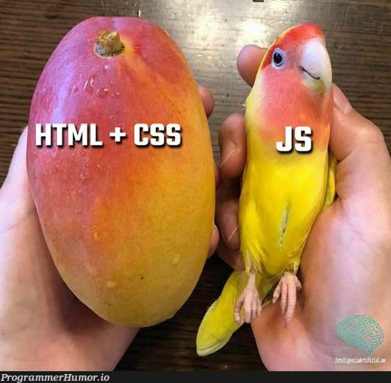 web development | css-memes, web development-memes, development-memes, web-memes, ML-memes, cs-memes | ProgrammerHumor.io