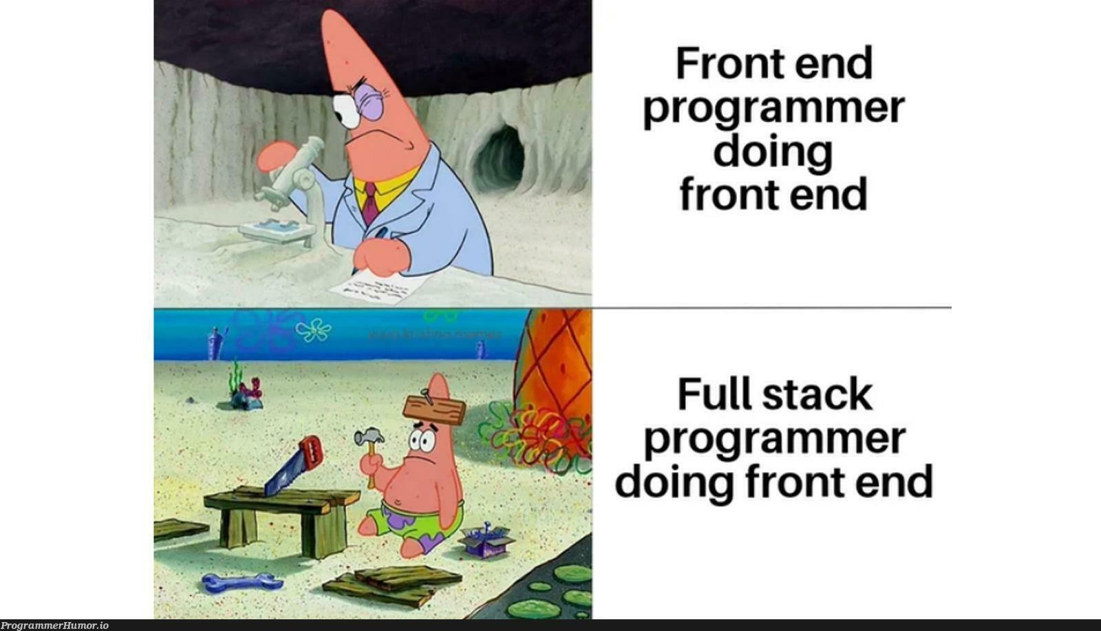 Are you full stack or frontend? | programmer-memes, stack-memes, program-memes, frontend-memes, front end-memes, full stack-memes | ProgrammerHumor.io