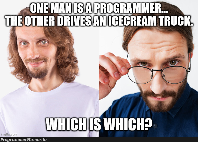 Which one is the programmer? | programmer-memes, program-memes | ProgrammerHumor.io