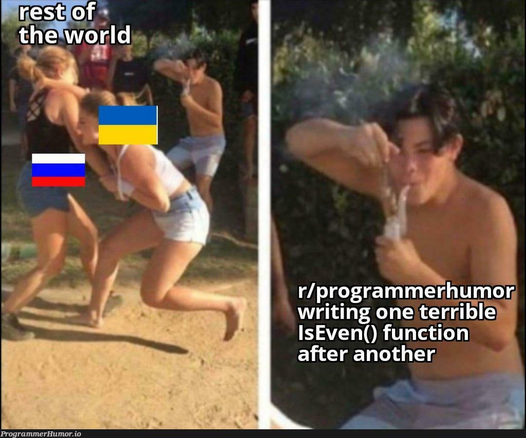 the IsEven() war rages on | programmer-memes, program-memes, function-memes | ProgrammerHumor.io