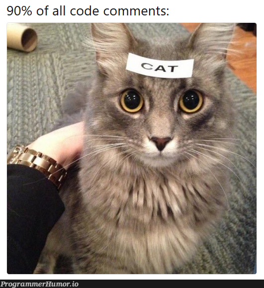 Code comments be like | code-memes, comment-memes | ProgrammerHumor.io