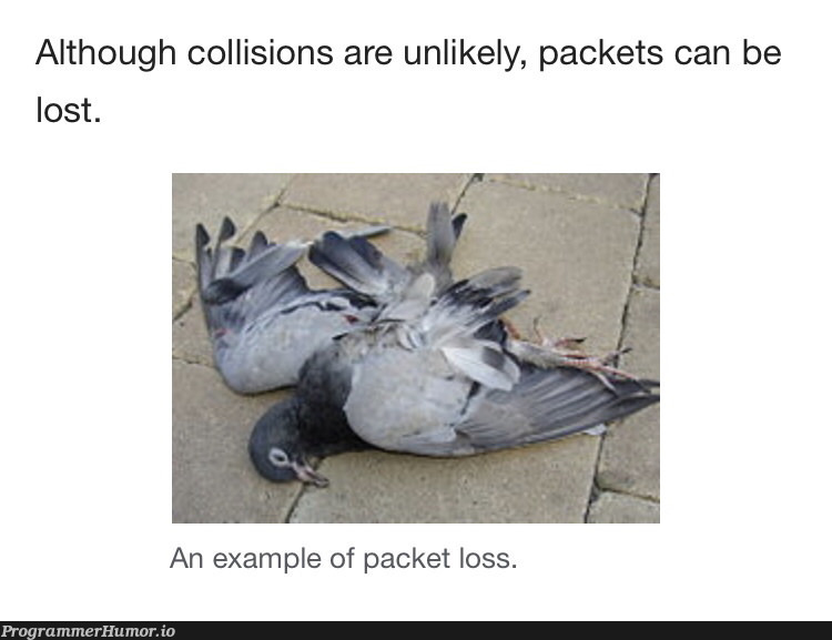 From the Wikipedia article, “IP over Avian Carriers” | ProgrammerHumor.io