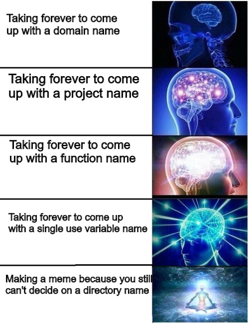 Naming Things | function-memes, ide-memes, variable name-memes | ProgrammerHumor.io