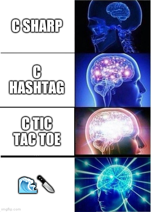 what do you call csharp | cs-memes | ProgrammerHumor.io