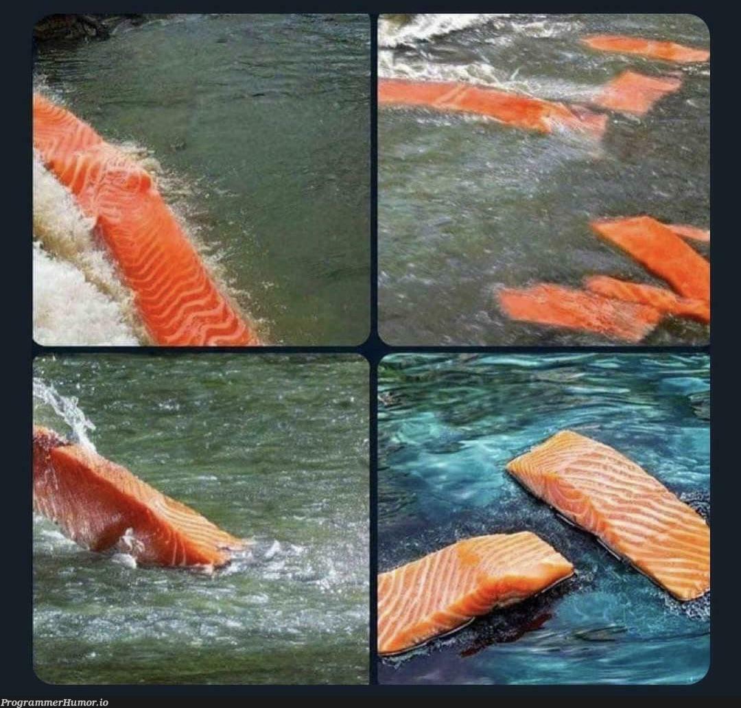 AI will take away our jobs. Also AI: Generate pictures of migrating salmon. | ProgrammerHumor.io