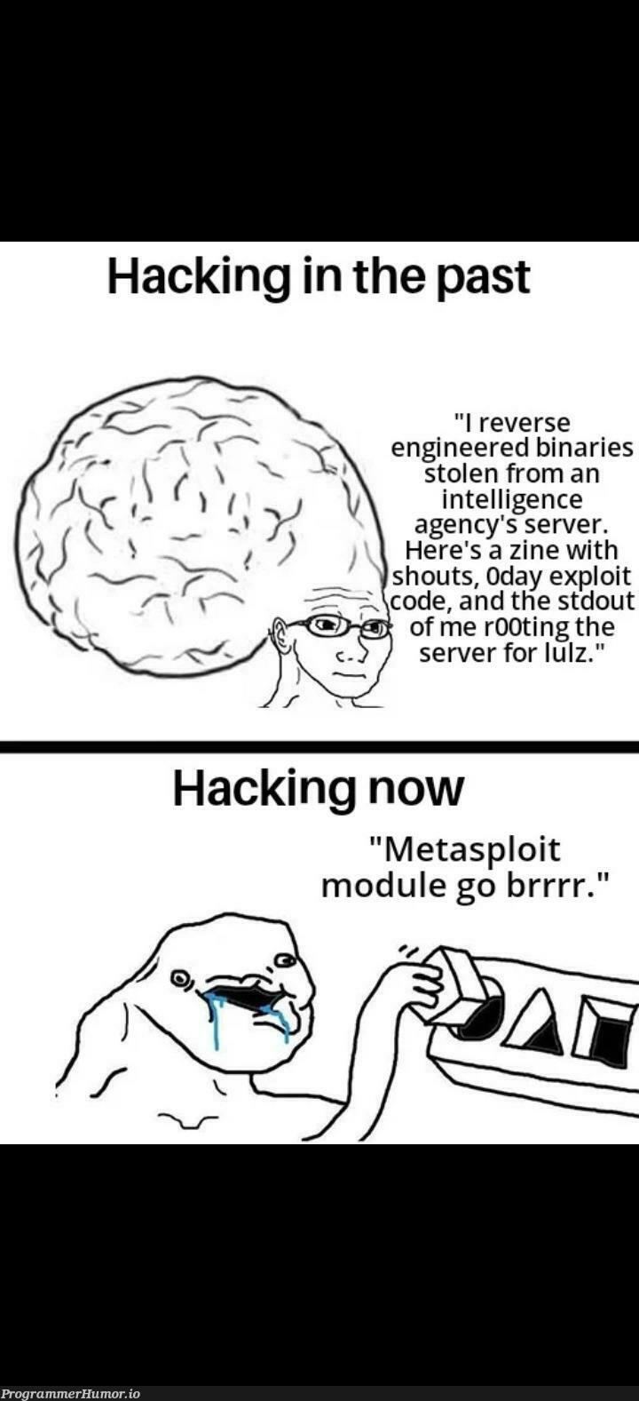 1337 hax0r | code-memes, engineer-memes, hacking-memes, agency-memes, server-memes, exploit-memes | ProgrammerHumor.io