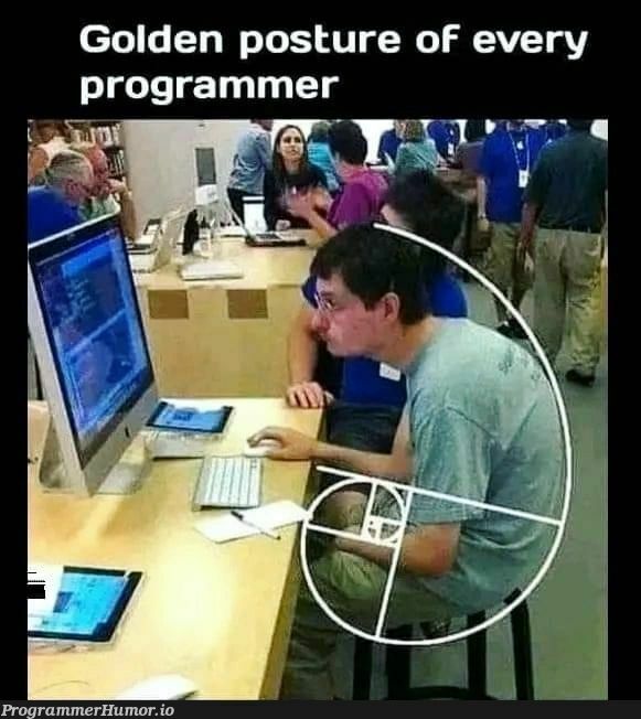 The golden posture | ProgrammerHumor.io