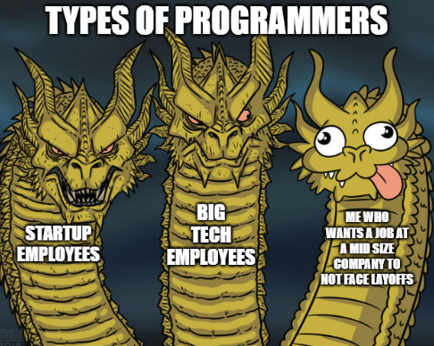 wise or not? | programmer-memes, tech-memes, program-memes, startup-memes | ProgrammerHumor.io