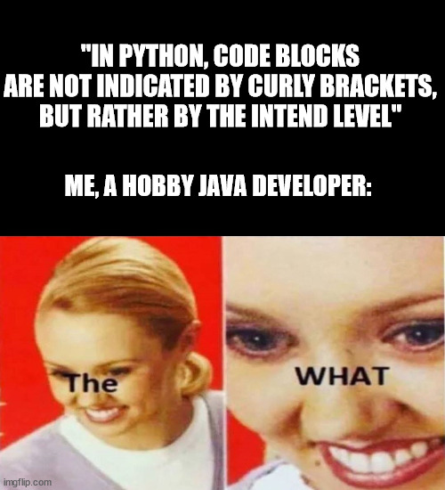 You cannot tell me this is not causing some bugs just by pure oversight | developer-memes, code-memes, python-memes, bugs-memes, bug-memes, loc-memes, lock-memes, url-memes | ProgrammerHumor.io