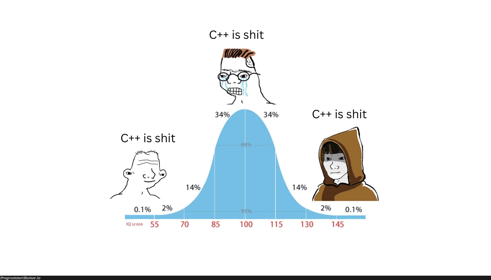 Something we can all agree on | c++-memes | ProgrammerHumor.io