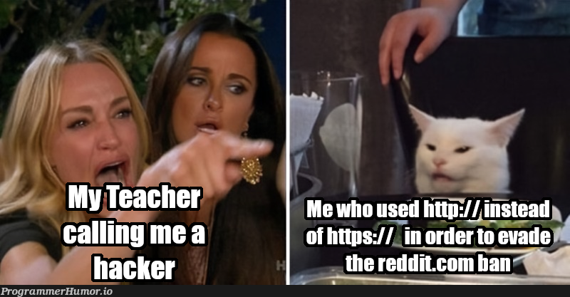 Now I'm wondering what other "security" vulnerabilities I can find.... | hacker-memes, security-memes, http-memes, reddit-memes | ProgrammerHumor.io