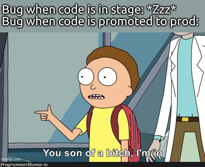 Hidden Bugs | code-memes, bugs-memes, bug-memes | ProgrammerHumor.io