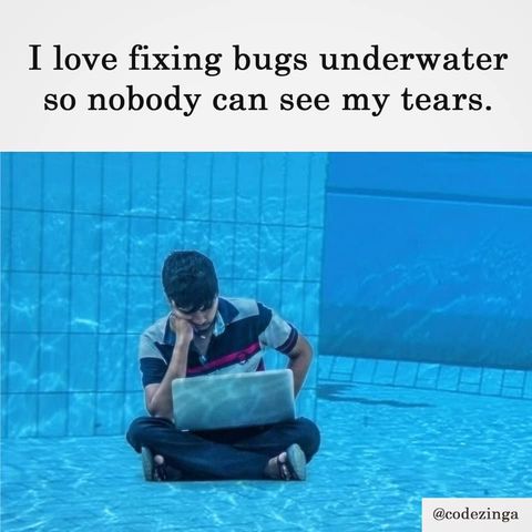 tearsOfHappiness | code-memes, bugs-memes, bug-memes, fix-memes | ProgrammerHumor.io