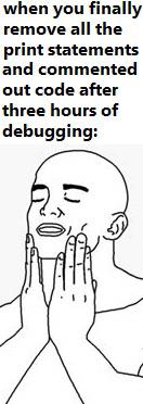 satisfaction | code-memes, debugging-memes, bug-memes, debug-memes, comment-memes | ProgrammerHumor.io