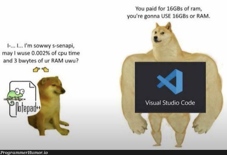 VsCode is really bulky sometimes | code-memes, vscode-memes, api-memes | ProgrammerHumor.io