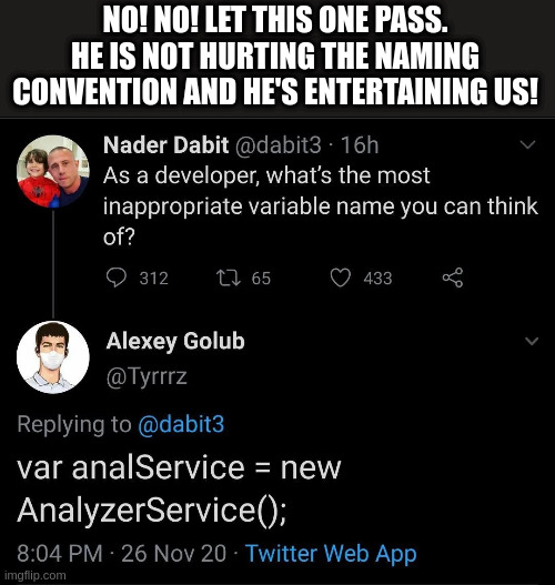 I'd gladly approve all of this mad lad's PRs | developer-memes, web-memes, variable name-memes, twitter-memes | ProgrammerHumor.io