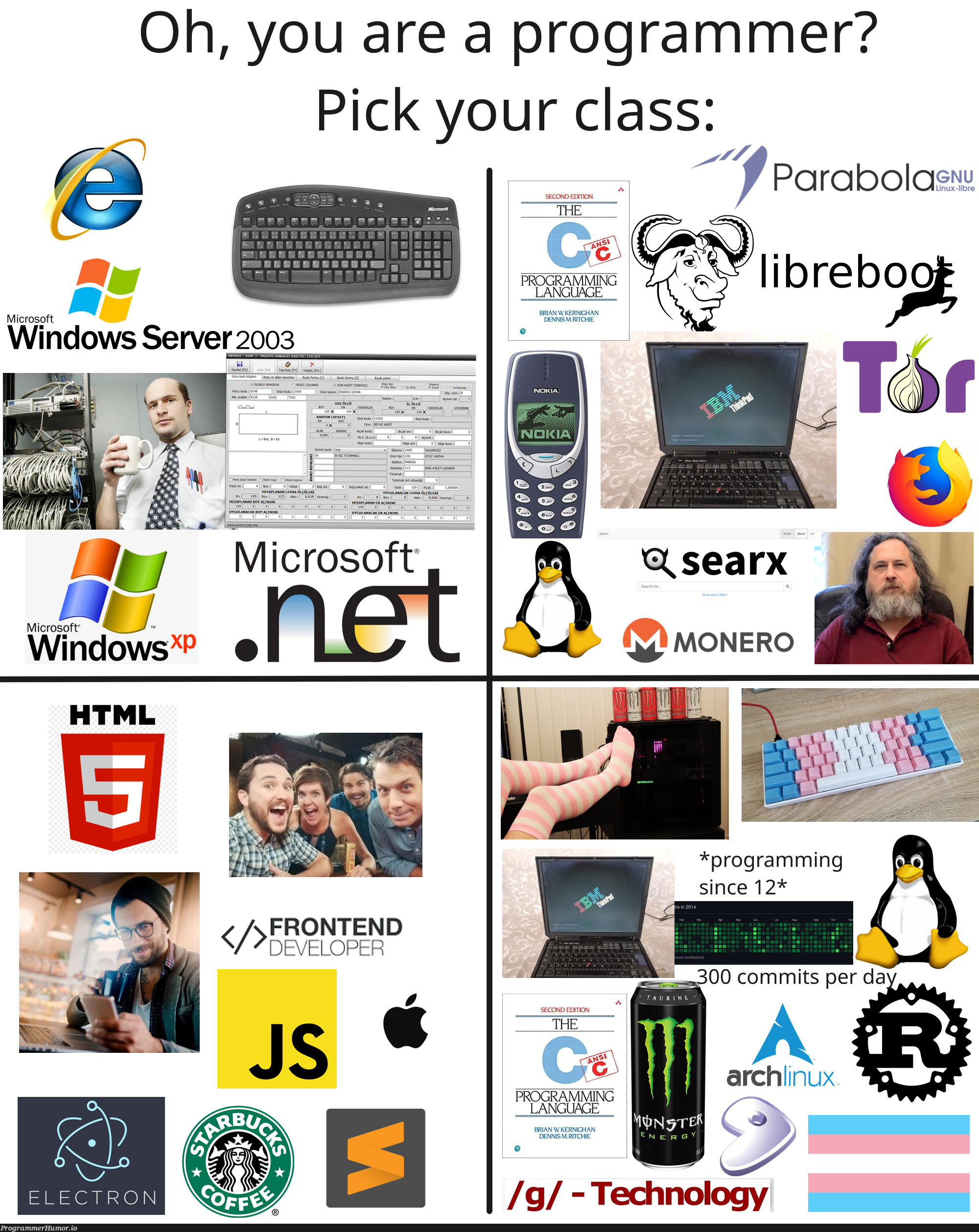 Which are you? | programming-memes, programmer-memes, developer-memes, tech-memes, technology-memes, program-memes, server-memes, frontend-memes, windows-memes, class-memes, microsoft-memes | ProgrammerHumor.io