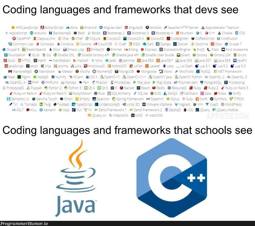 Devs VS. Schools | coding-memes, java-memes, devs-memes, language-memes, framework-memes | ProgrammerHumor.io