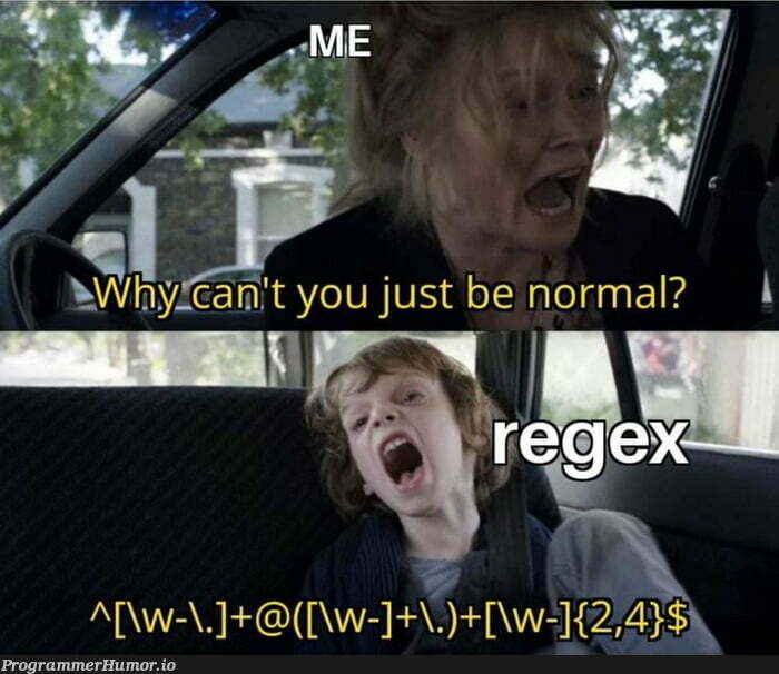 wheneverYouNeedRegularExpressions | express-memes | ProgrammerHumor.io