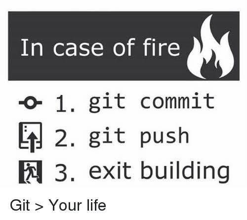 uploadBeforeEvacuation | git-memes | ProgrammerHumor.io