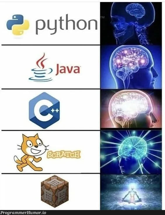 WhichOneDoYouRelateTo | ProgrammerHumor.io