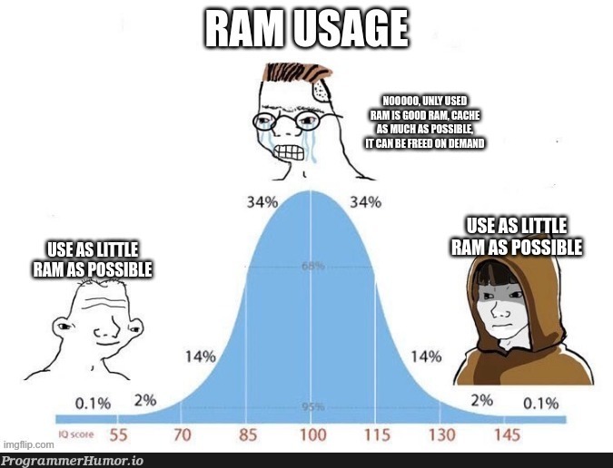 RamUsage | ProgrammerHumor.io