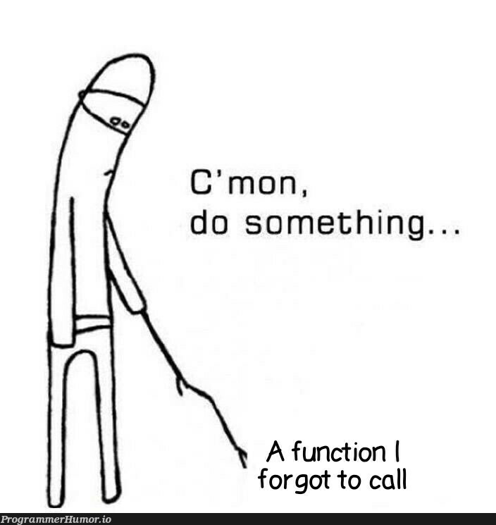 To call a function | function-memes | ProgrammerHumor.io