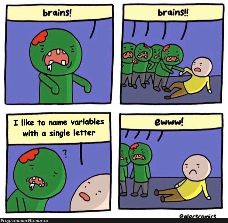 brainNotFound | variables-memes | ProgrammerHumor.io