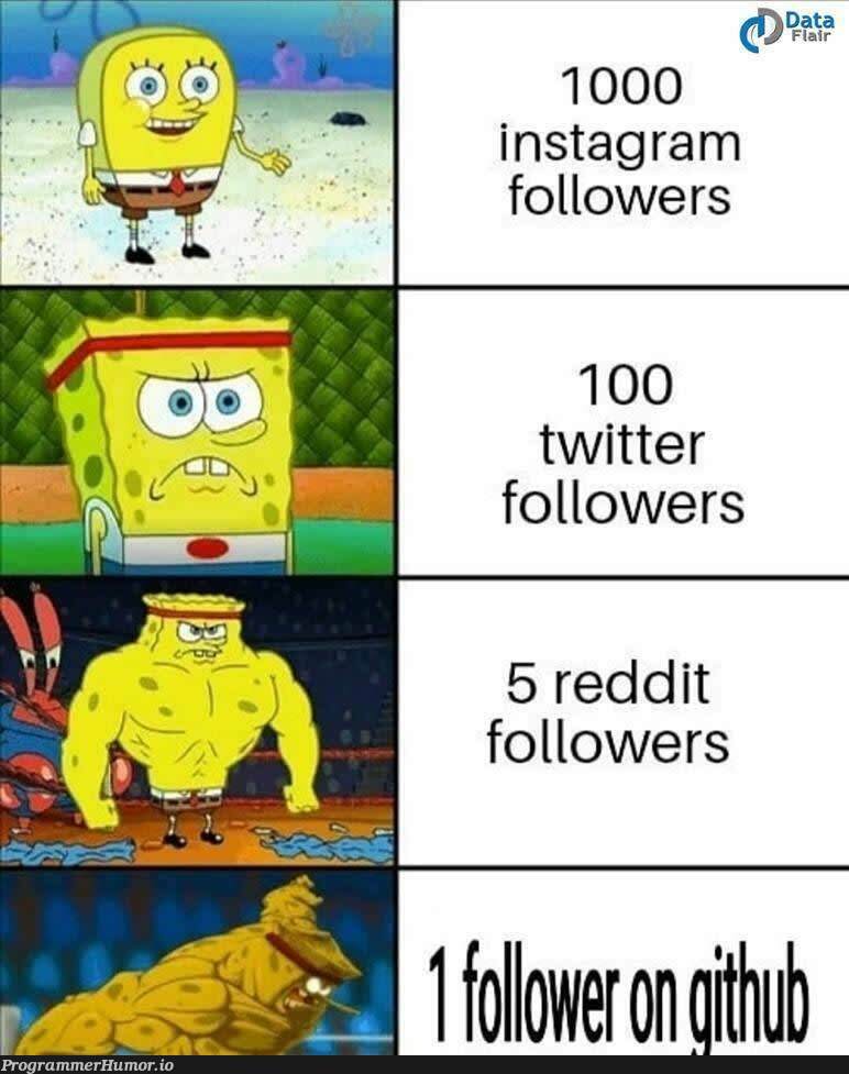 "You could say I have a big following" | reddit-memes, IT-memes, twitter-memes | ProgrammerHumor.io