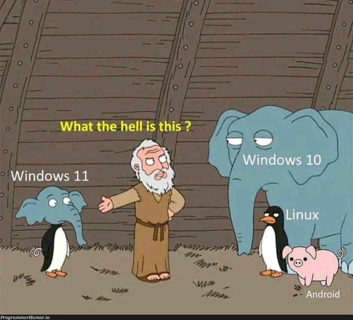 Source code of Windows 11 has been found. | code-memes, windows-memes, source code-memes | ProgrammerHumor.io