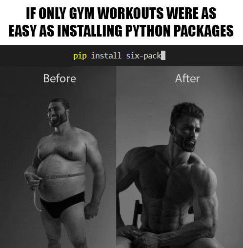 easyWorkOut | python-memes, pip-memes | ProgrammerHumor.io