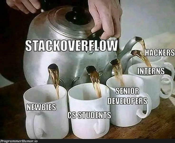 Supreme Stackoverflow | stackoverflow-memes, stack-memes, overflow-memes | ProgrammerHumor.io