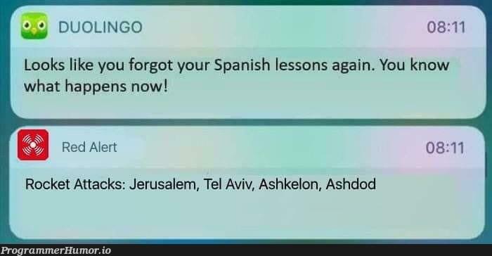 Bloody hell Duolingo... I didn't know there was an API for that. | api-memes | ProgrammerHumor.io